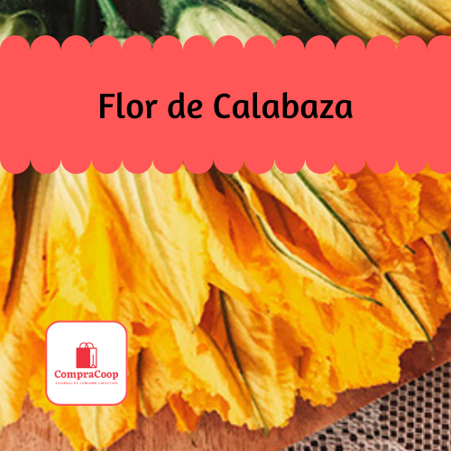 CompraCoop FresCoop Flor de Calabaza